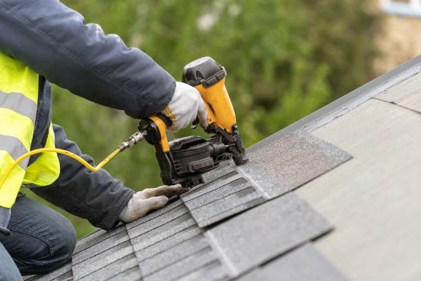 Best Roof Moss and Algae Removal  in Blue Rapids, KS